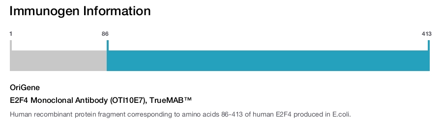 E2F4 Monoclonal Antibody (OTI10E7), TrueMAB&trade;
