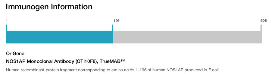 NOS1AP Monoclonal Antibody (OTI10F8), TrueMAB&trade;