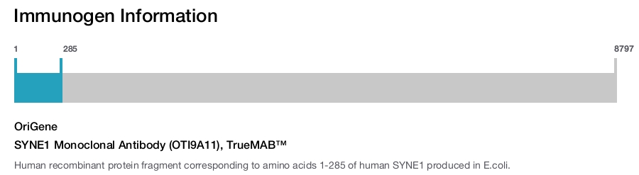 SYNE1 Monoclonal Antibody (OTI9A11), TrueMAB&trade;