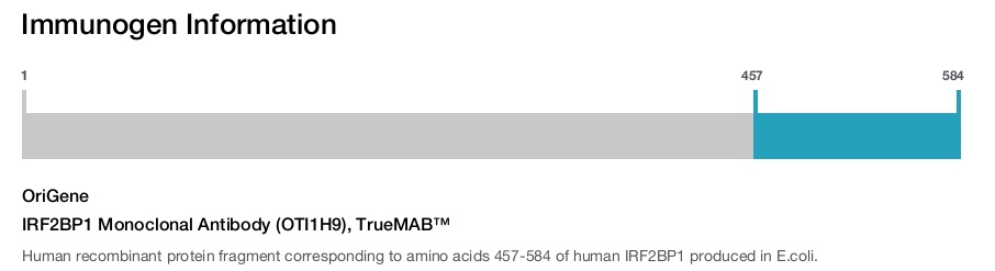 IRF2BP1 Monoclonal Antibody (OTI1H9), TrueMAB&trade;