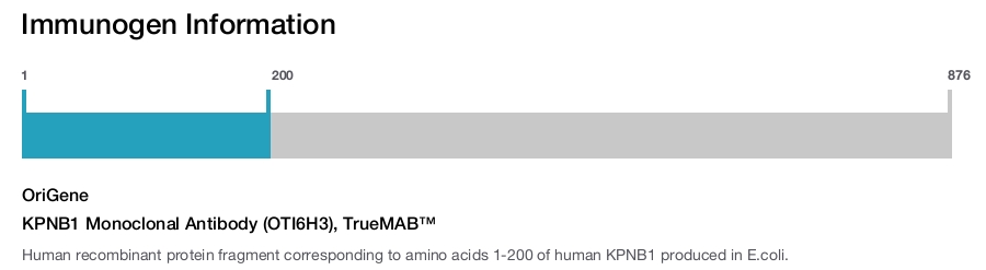 KPNB1 Monoclonal Antibody (OTI6H3), TrueMAB&trade;