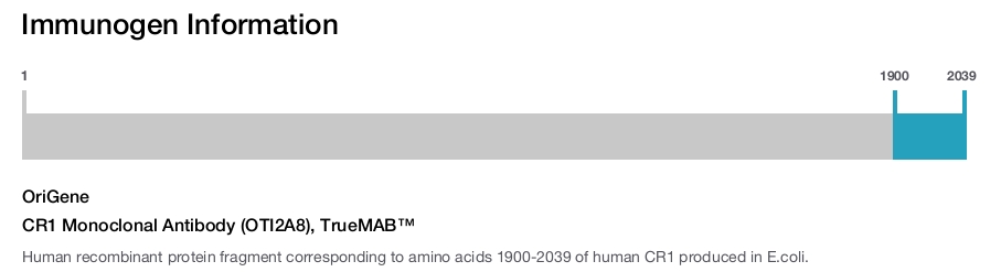 CR1 Monoclonal Antibody (OTI2A8), TrueMAB&trade;