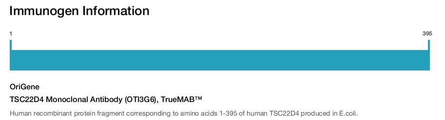 TSC22D4 Monoclonal Antibody (OTI3G6), TrueMAB&trade;