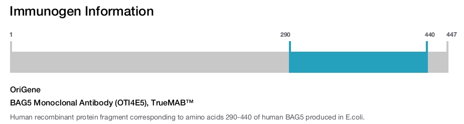 BAG5 Monoclonal Antibody (OTI4E5), TrueMAB&trade;