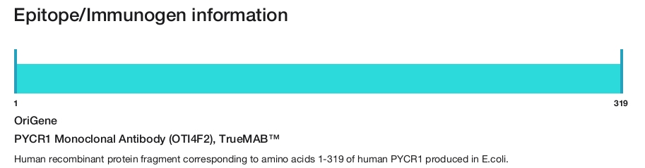 PYCR1 Monoclonal Antibody (OTI4F2), TrueMAB&trade;