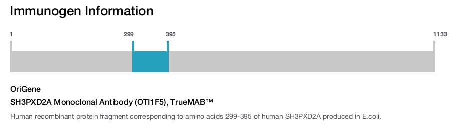 SH3PXD2A Monoclonal Antibody (OTI1F5), TrueMAB&trade;