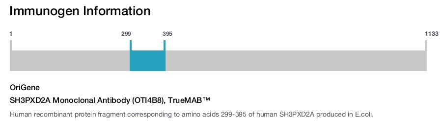 SH3PXD2A Monoclonal Antibody (OTI4B8), TrueMAB&trade;