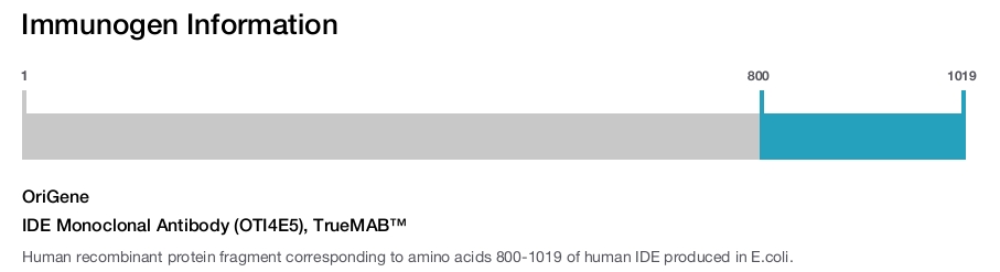 IDE Monoclonal Antibody (OTI4E5), TrueMAB&trade;