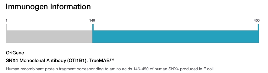 SNX4 Monoclonal Antibody (OTI1B1), TrueMAB&trade;