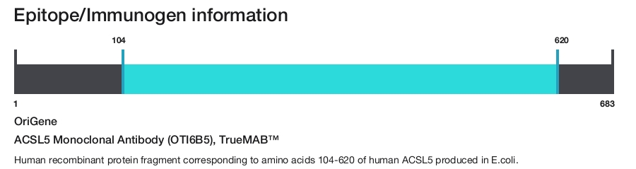 ACSL5 Monoclonal Antibody (OTI6B5), TrueMAB&trade;