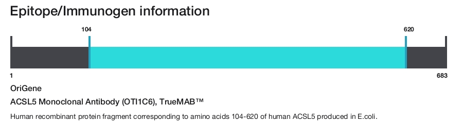 ACSL5 Monoclonal Antibody (OTI1C6), TrueMAB&trade;