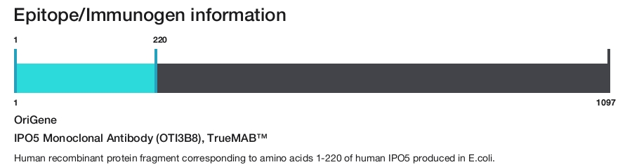 IPO5 Monoclonal Antibody (OTI3B8), TrueMAB&trade;