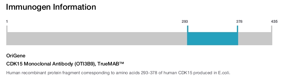 CDK15 Monoclonal Antibody (OTI3B9), TrueMAB&trade;