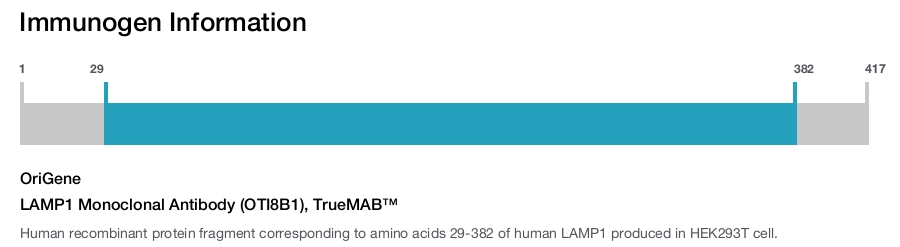 LAMP1 Monoclonal Antibody (OTI8B1), TrueMAB&trade;