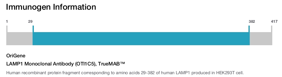LAMP1 Monoclonal Antibody (OTI1C5), TrueMAB&trade;