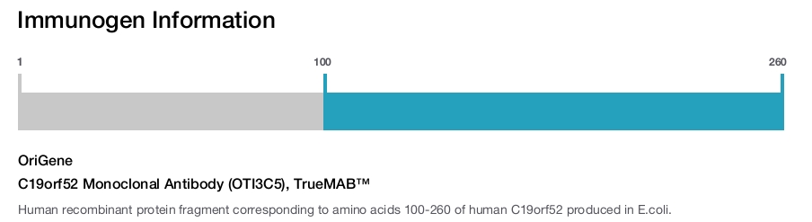 C19orf52 Monoclonal Antibody (OTI3C5), TrueMAB&trade;