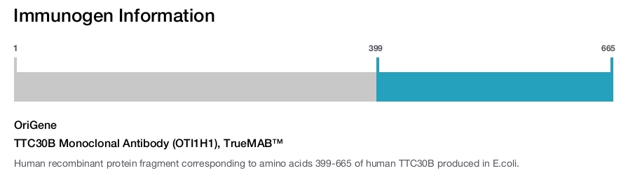 TTC30B Monoclonal Antibody (OTI1H1), TrueMAB&trade;