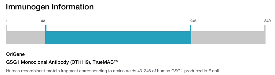 GSG1 Monoclonal Antibody (OTI1H9), TrueMAB&trade;