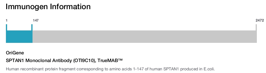 SPTAN1 Monoclonal Antibody (OTI9C10), TrueMAB&trade;