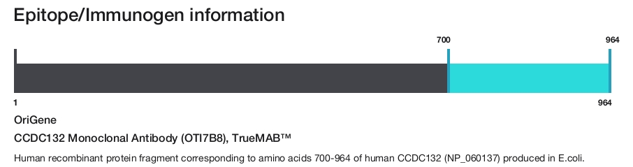 CCDC132 Monoclonal Antibody (OTI7B8), TrueMAB&trade;