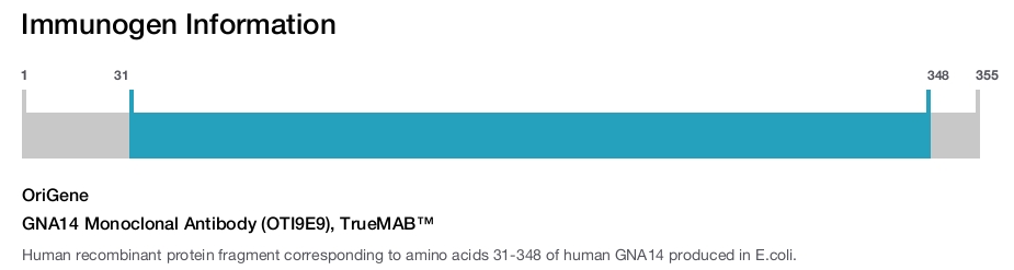 GNA14 Monoclonal Antibody (OTI9E9), TrueMAB&trade;