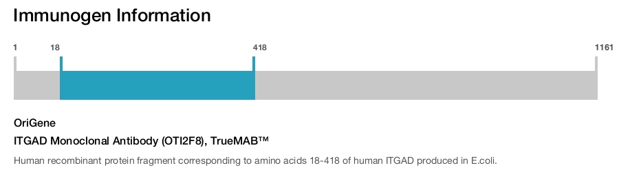 ITGAD Monoclonal Antibody (OTI2F8), TrueMAB&trade;