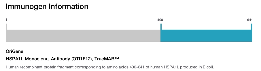 HSPA1L Monoclonal Antibody (OTI1F12), TrueMAB&trade;