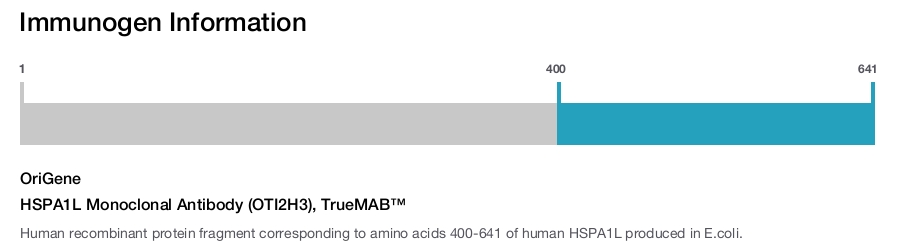HSPA1L Monoclonal Antibody (OTI2H3), TrueMAB&trade;
