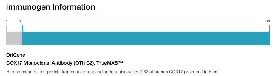 COX17 Monoclonal Antibody (OTI1C2), TrueMAB&trade;