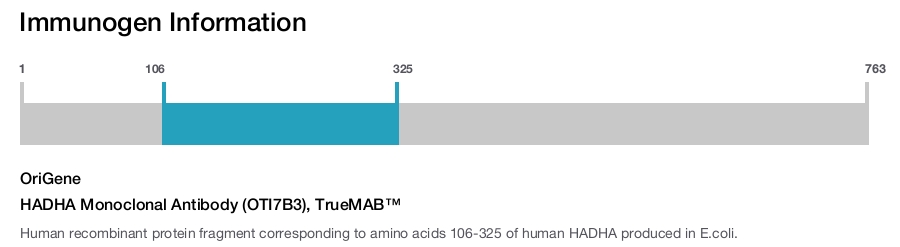 HADHA Monoclonal Antibody (OTI7B3), TrueMAB&trade;
