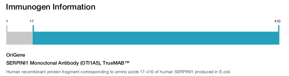 SERPINI1 Monoclonal Antibody (OTI1A5), TrueMAB&trade;