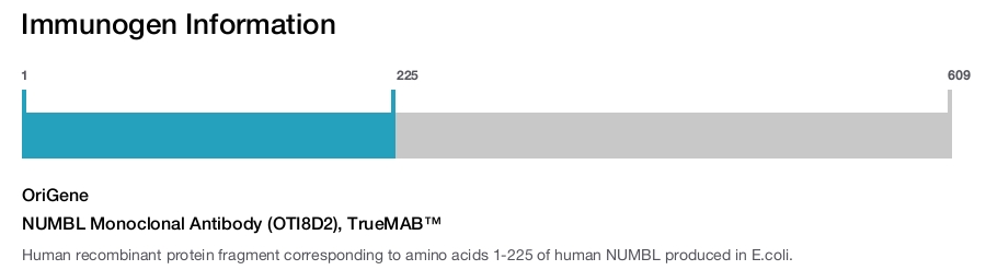 NUMBL Monoclonal Antibody (OTI8D2), TrueMAB&trade;