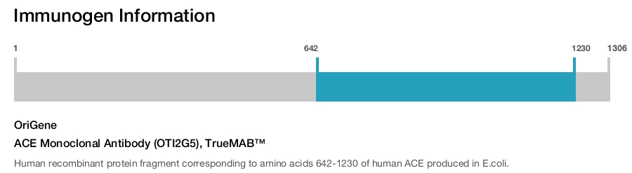 ACE Monoclonal Antibody (OTI2G5), TrueMAB™