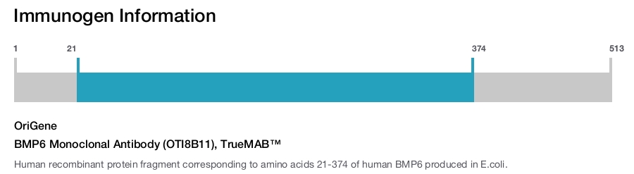BMP6 Monoclonal Antibody (OTI8B11), TrueMAB&trade;