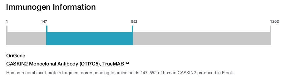 CASKIN2 Monoclonal Antibody (OTI7C5), TrueMAB&trade;