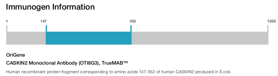 CASKIN2 Monoclonal Antibody (OTI8G3), TrueMAB&trade;