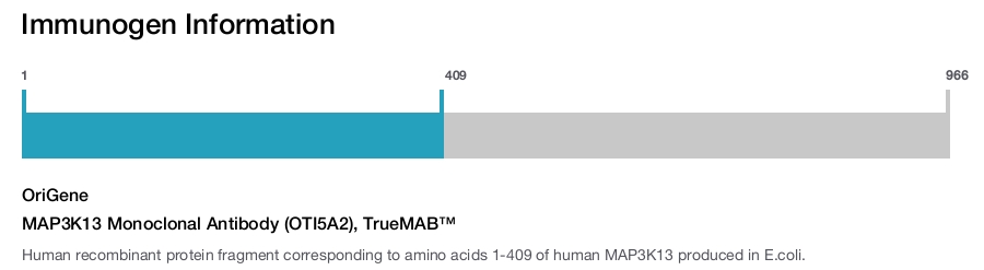 MAP3K13 Monoclonal Antibody (OTI5A2), TrueMAB&trade;