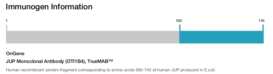 JUP Monoclonal Antibody (OTI1B4), TrueMAB&trade;