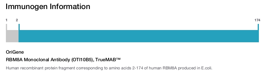 RBM8A Monoclonal Antibody (OTI10B5), TrueMAB&trade;