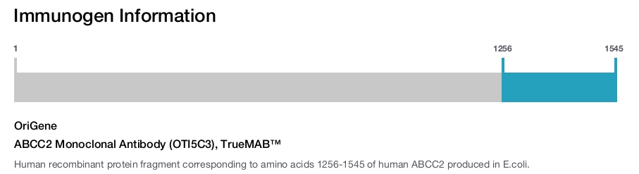 ABCC2 Monoclonal Antibody (OTI5C3), TrueMAB&trade;