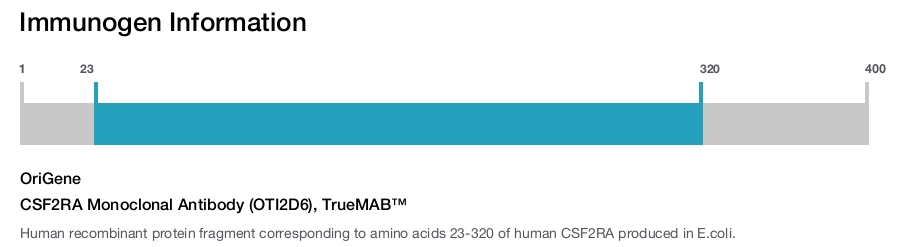 CSF2RA Monoclonal Antibody (OTI2D6), TrueMAB&trade;