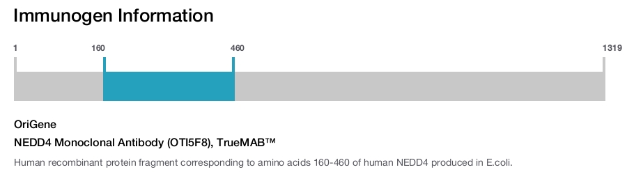 NEDD4 Monoclonal Antibody (OTI5F8), TrueMAB&trade;