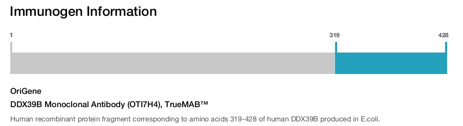 DDX39B Monoclonal Antibody (OTI7H4), TrueMAB&trade;
