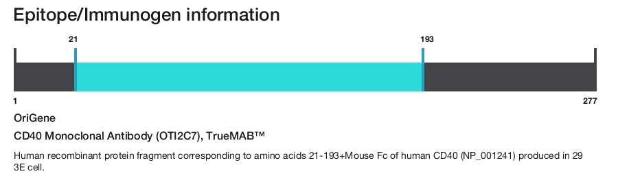 CD40 Monoclonal Antibody (OTI2C7), TrueMAB&trade;