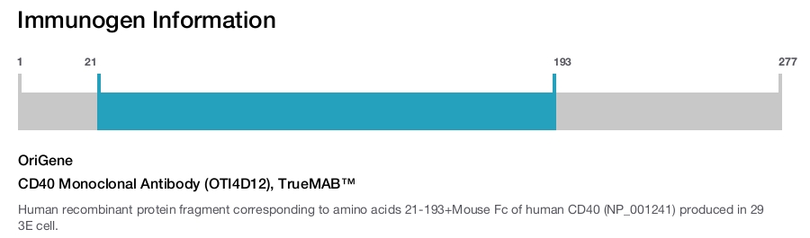 CD40 Monoclonal Antibody (OTI4D12), TrueMAB&trade;