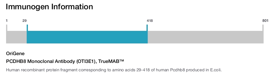 PCDHB8 Monoclonal Antibody (OTI3E1), TrueMAB&trade;