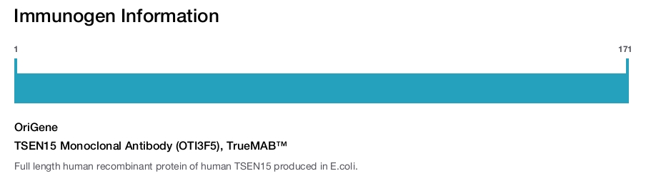 TSEN15 Monoclonal Antibody (OTI3F5), TrueMAB&trade;