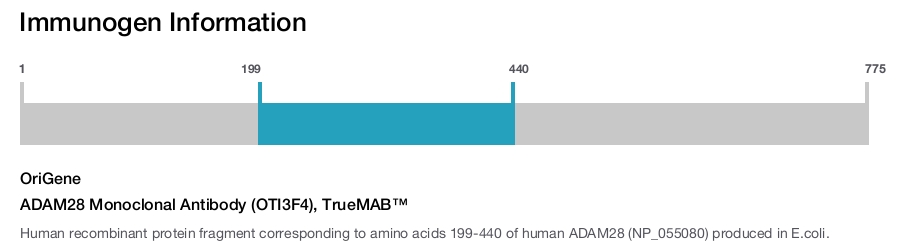 ADAM28 Monoclonal Antibody (OTI3F4), TrueMAB&trade;
