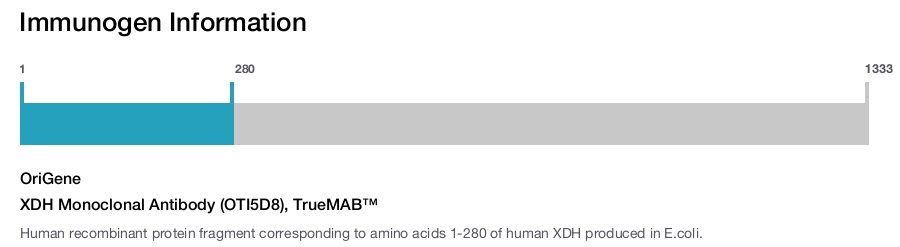 XDH Monoclonal Antibody (OTI5D8), TrueMAB&trade;