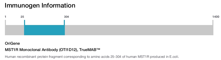 MST1R Monoclonal Antibody (OTI1D12), TrueMAB&trade;